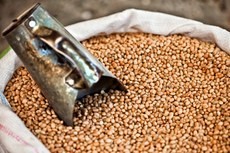 Governo entrega 61 toneladas de sementes à agricultura familiar de Goiás