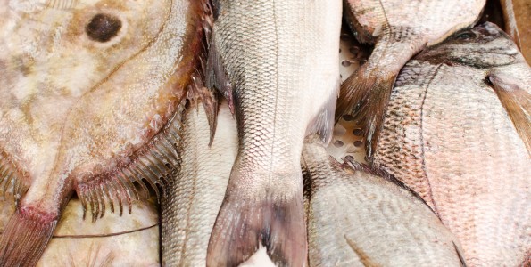 5 dicas para incluir frutos do mar e peixes no cardápio