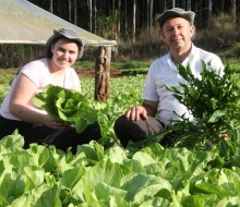 Compra de alimentos da agricultura familiar recebeu R$ 567,2 mi em 2015